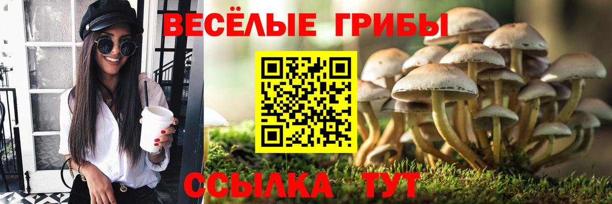 Калининград  Псилоцибиновые грибы прущие грибы  Вход с VPN  Галлюциногенные грибы GOLDEN TEACHER 